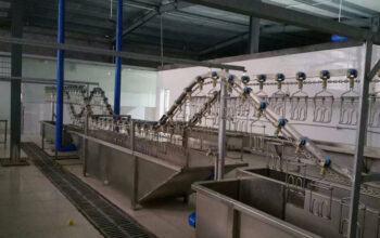 slaughtering equipment